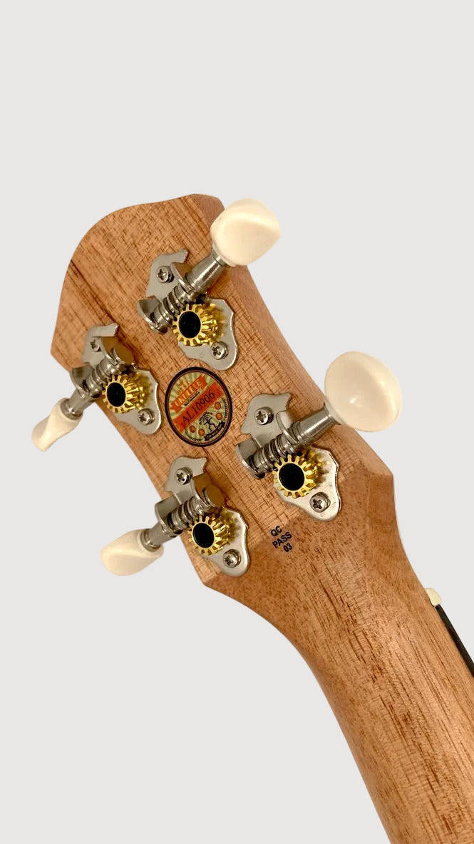 aNueNue UC-10 BB Concert
