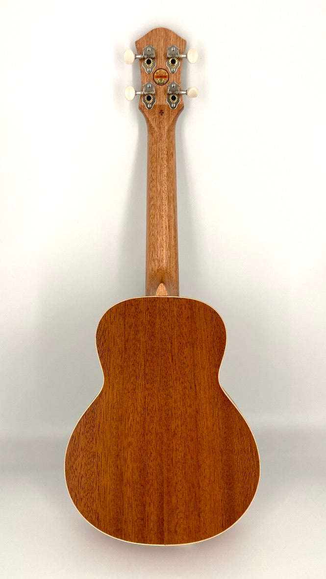 aNueNue UC-10 BF Concert