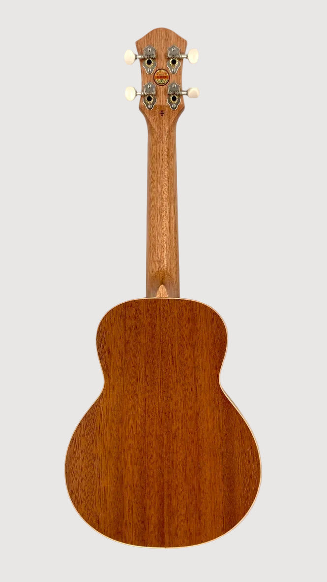 aNueNue UC-10 BF Concert