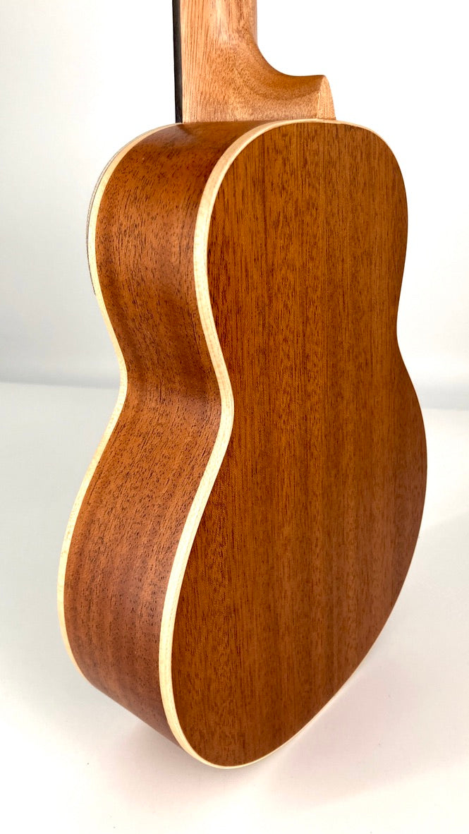 aNueNue UC-10 BF Concert