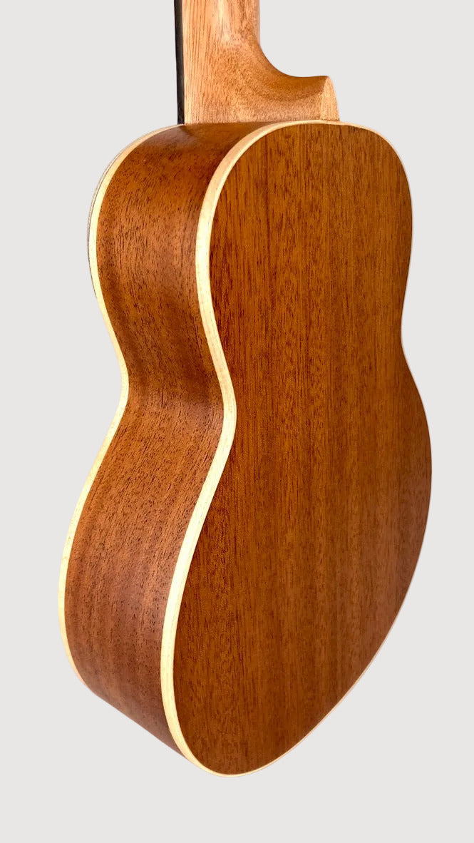 aNueNue UC-10 BF Concert