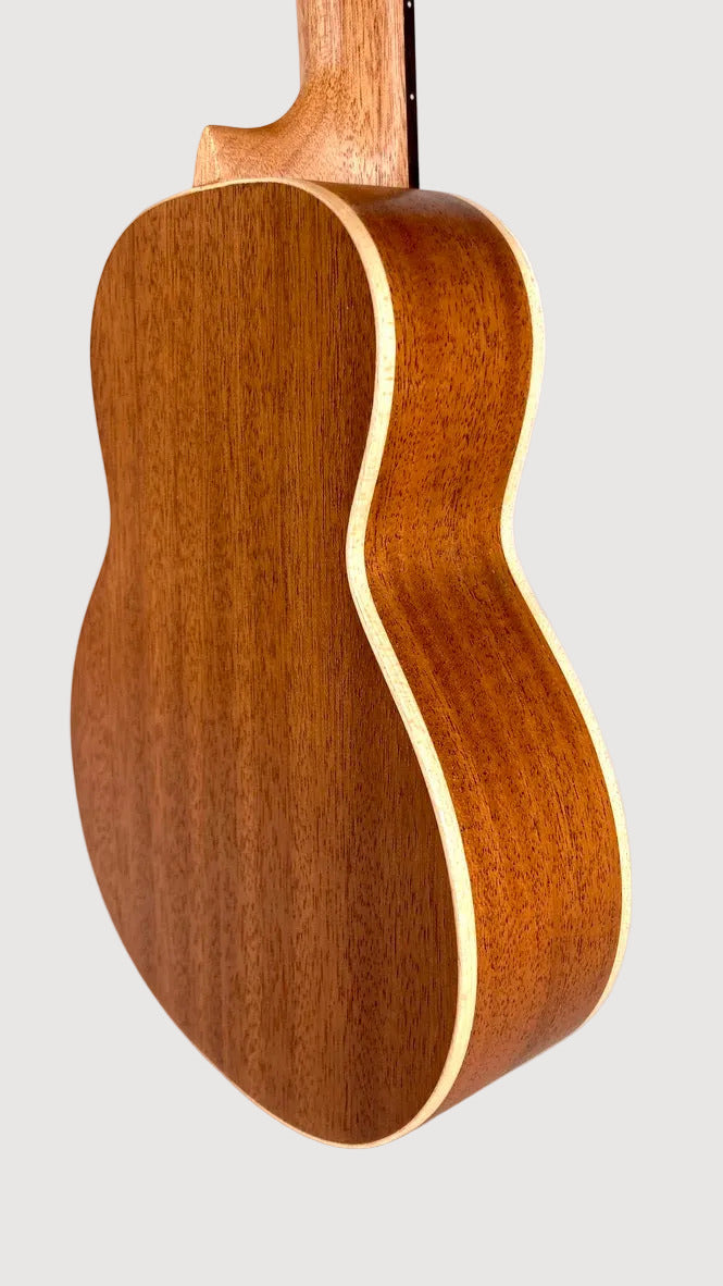 aNueNue UC-10 BF Concert