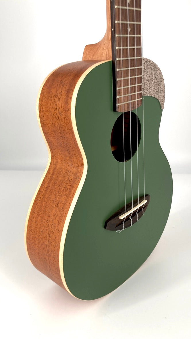 aNueNue UC-10 BF Concert
