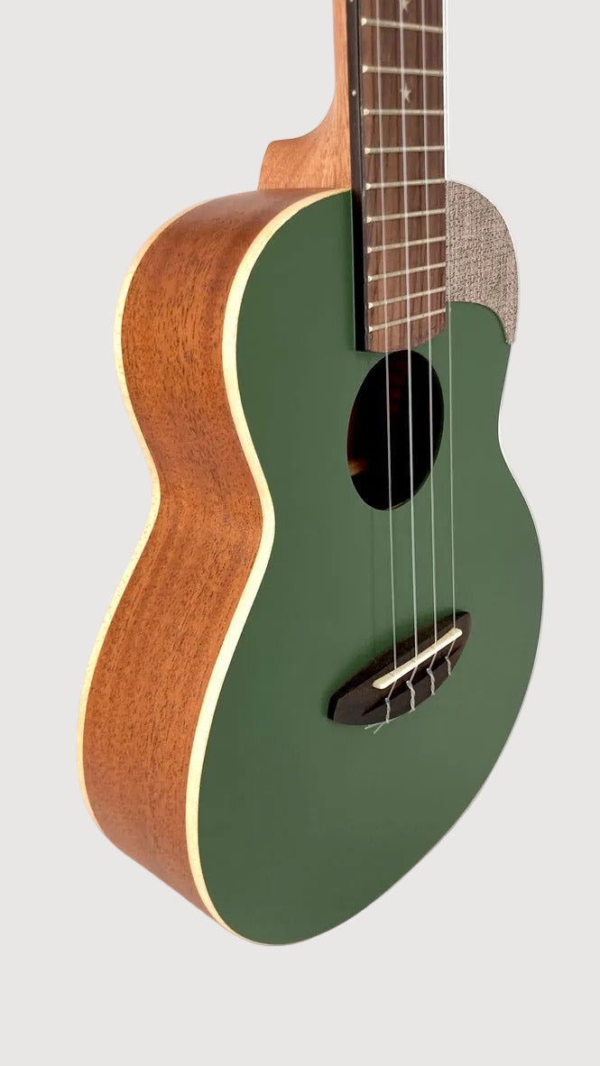 aNueNue UC-10 BF Concert