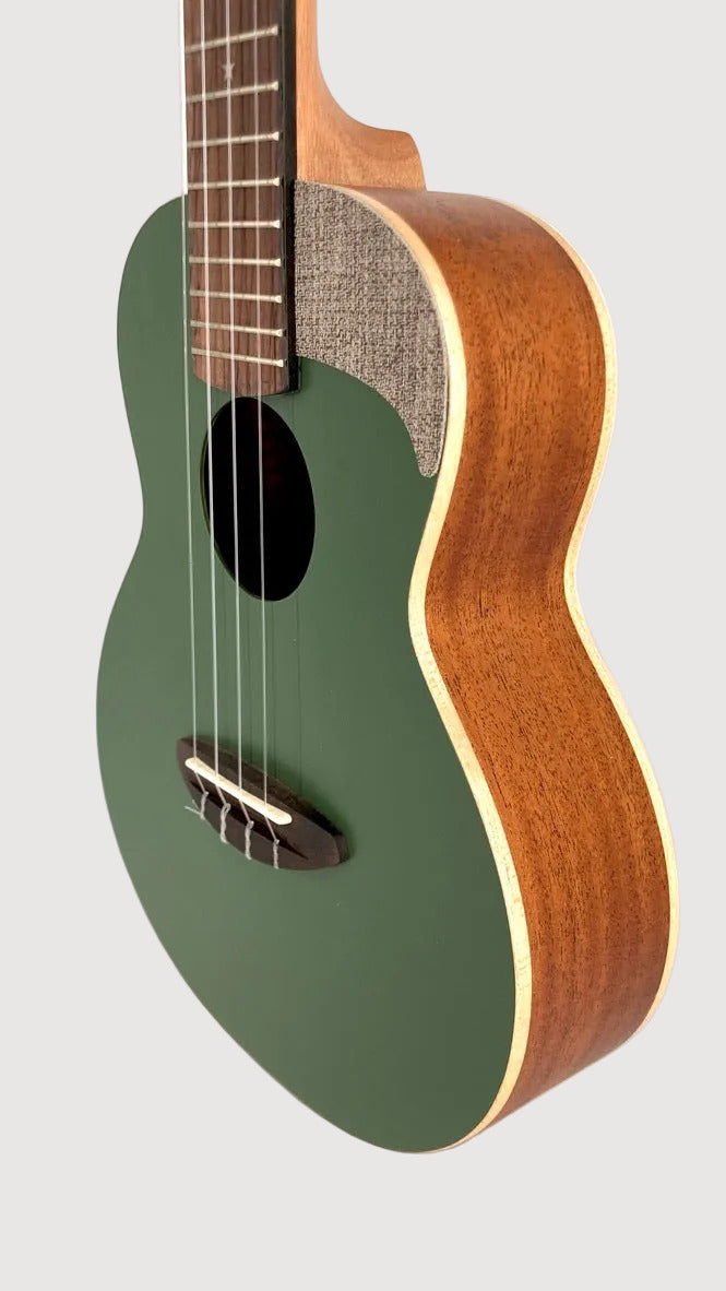 aNueNue UC-10 BF Concert