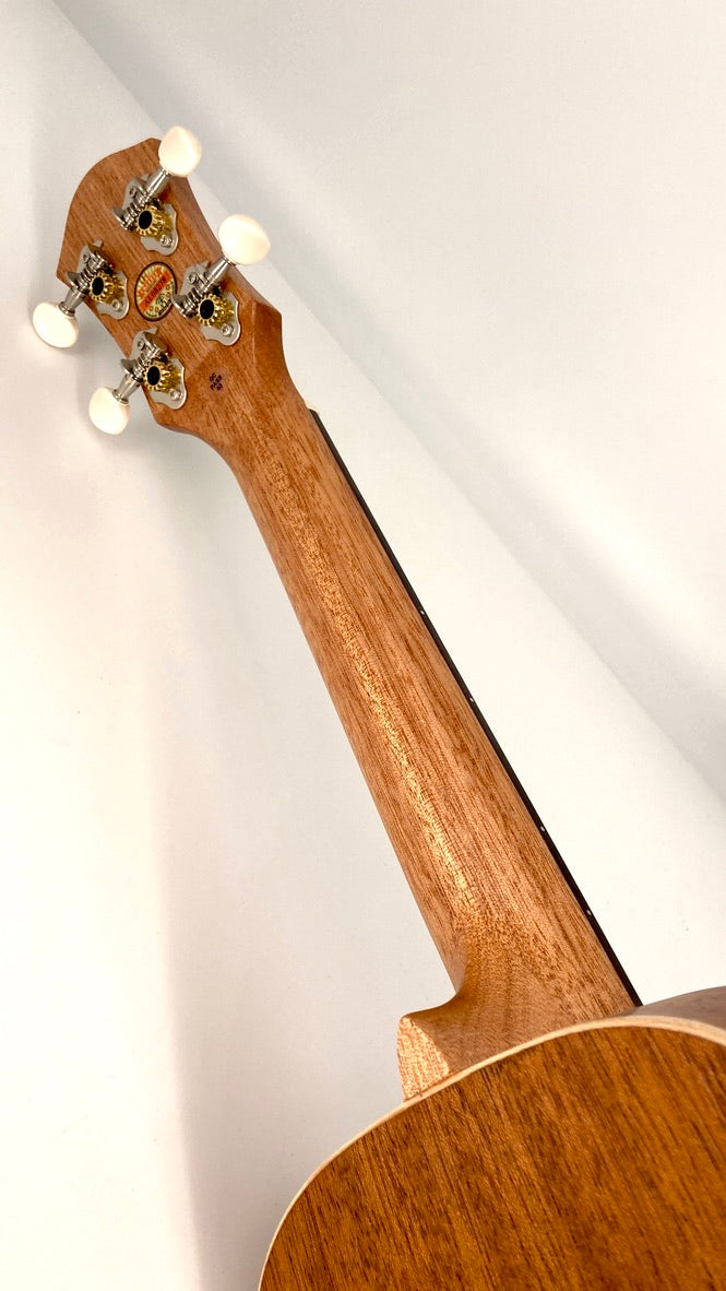 aNueNue UC-10 BF Concert