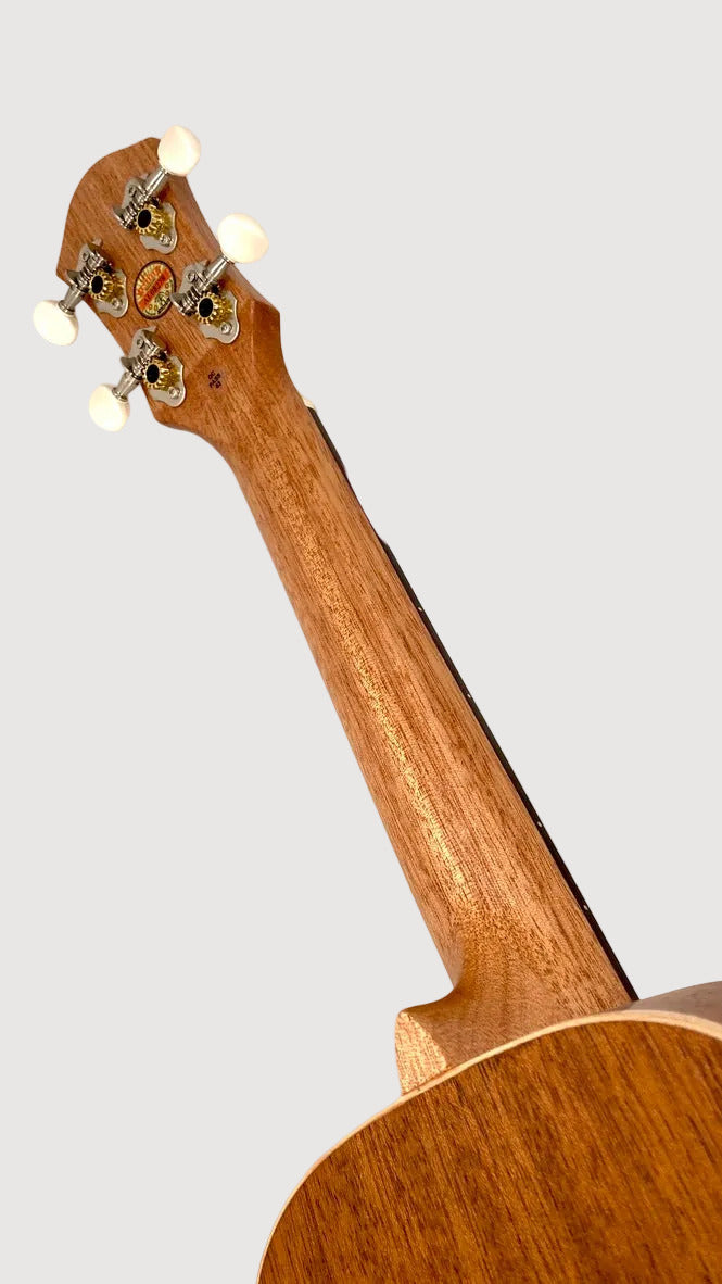aNueNue UC-10 BF Concert