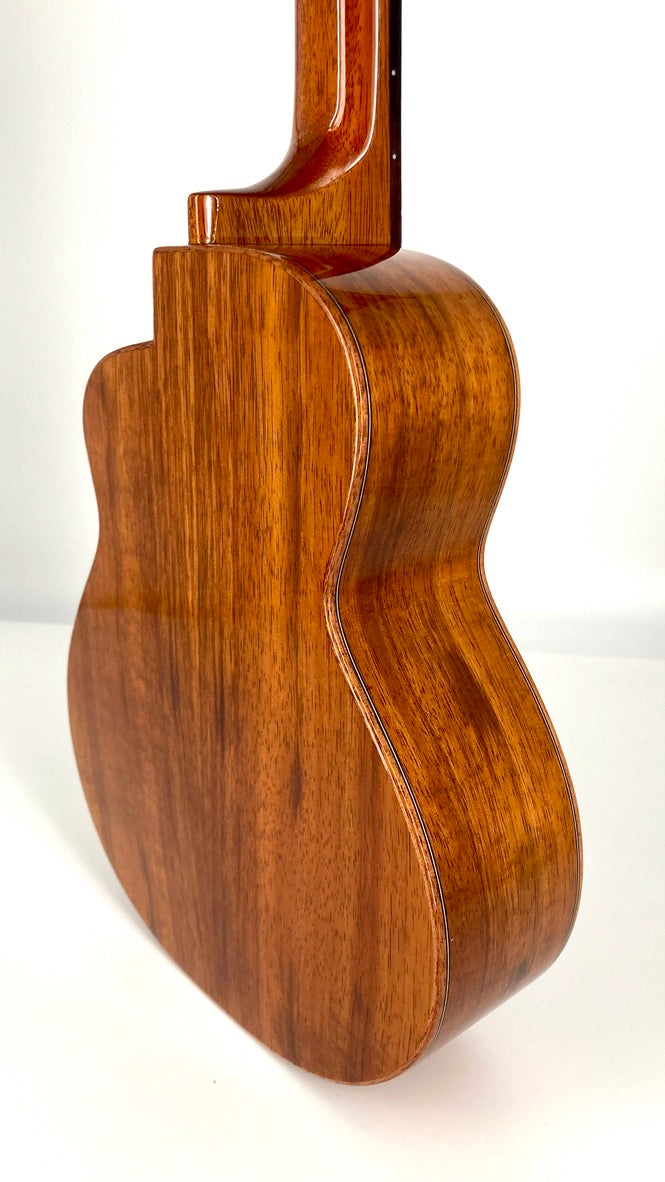 aNueNue UC1K Bird Concert