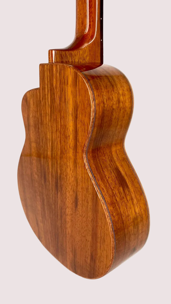 aNueNue UC1K Bird Concert