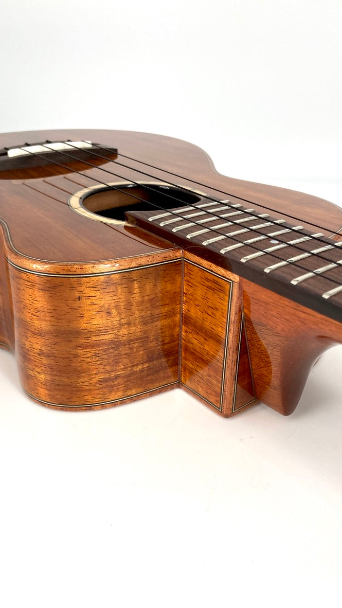 aNueNue UC1K Bird Concert