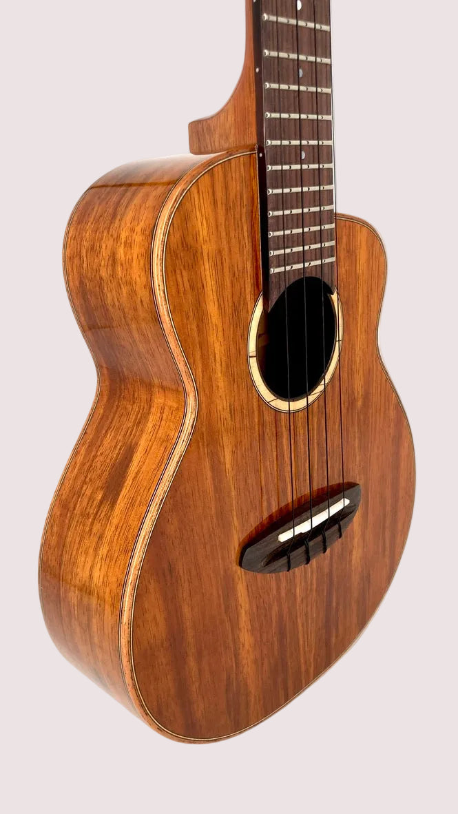 aNueNue UC1K Bird Concert