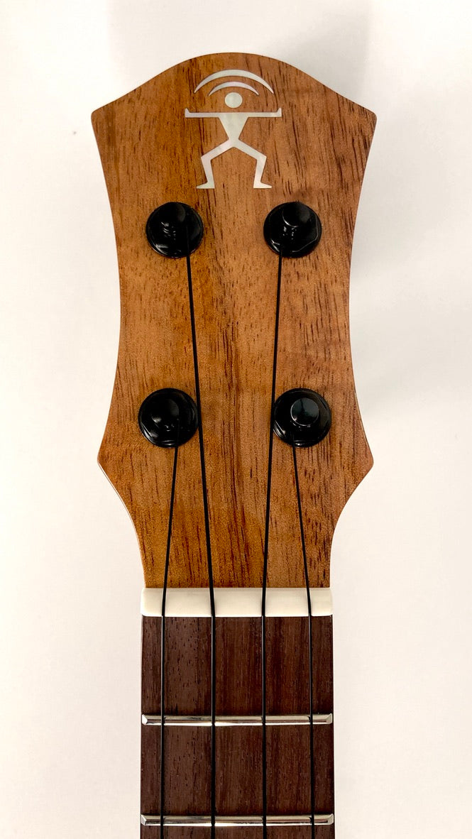 aNueNue UC1K Bird Concert