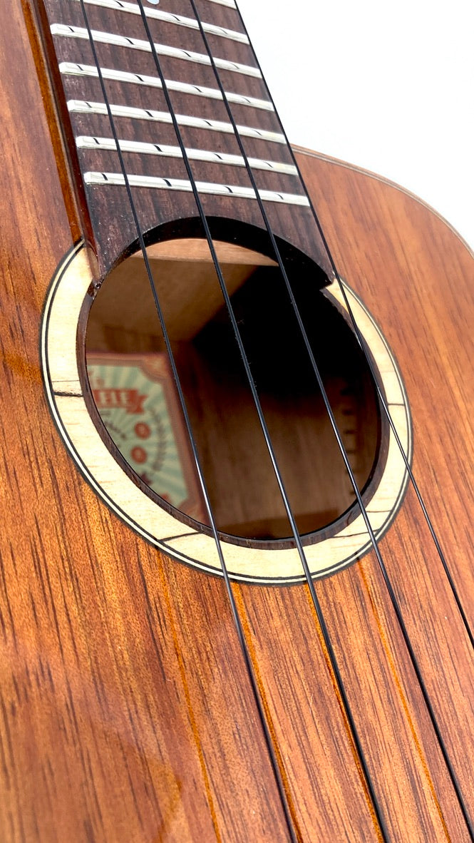 aNueNue UC1K Bird Concert