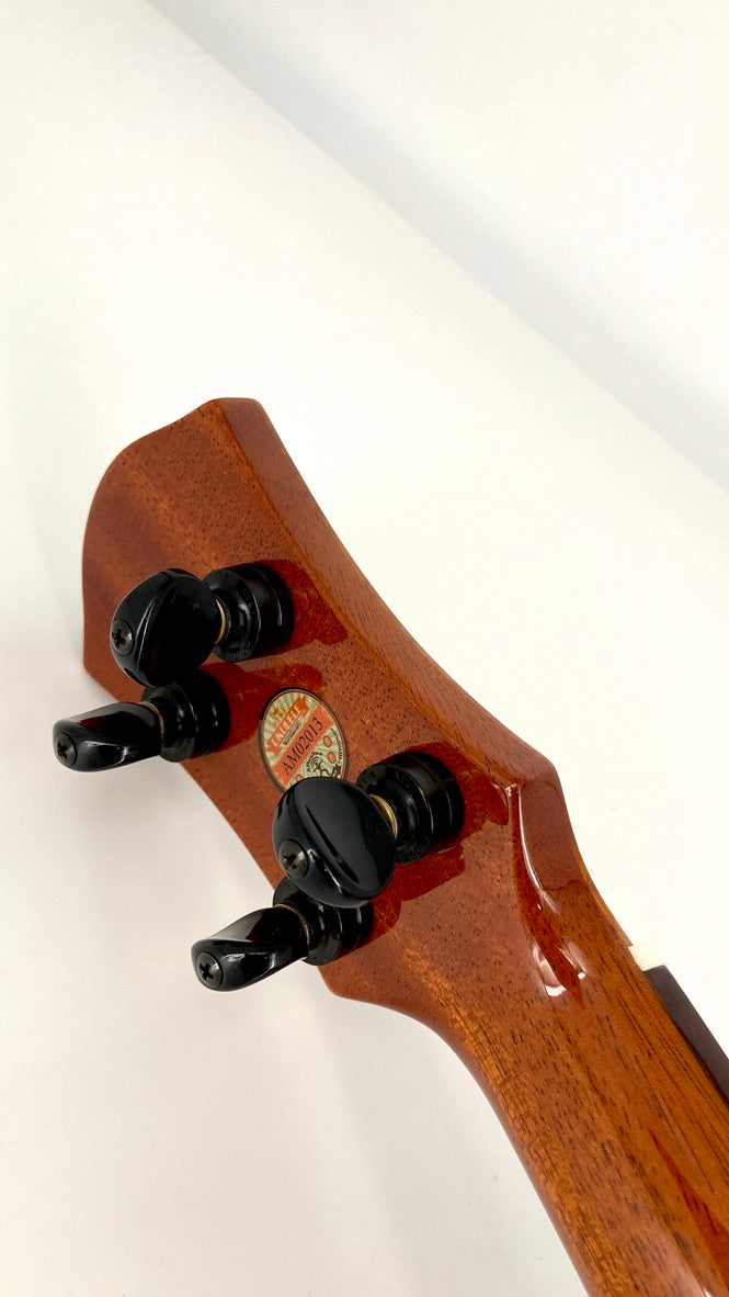 aNueNue UC1K Bird Concert