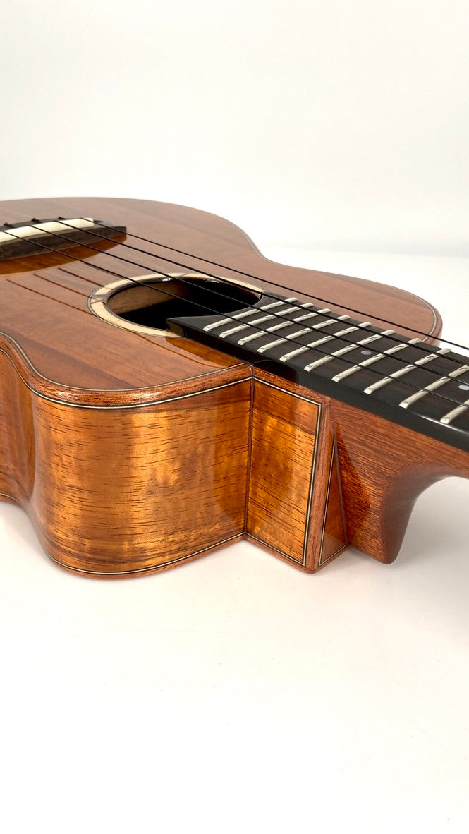 aNueNue UC1K Bird Concert