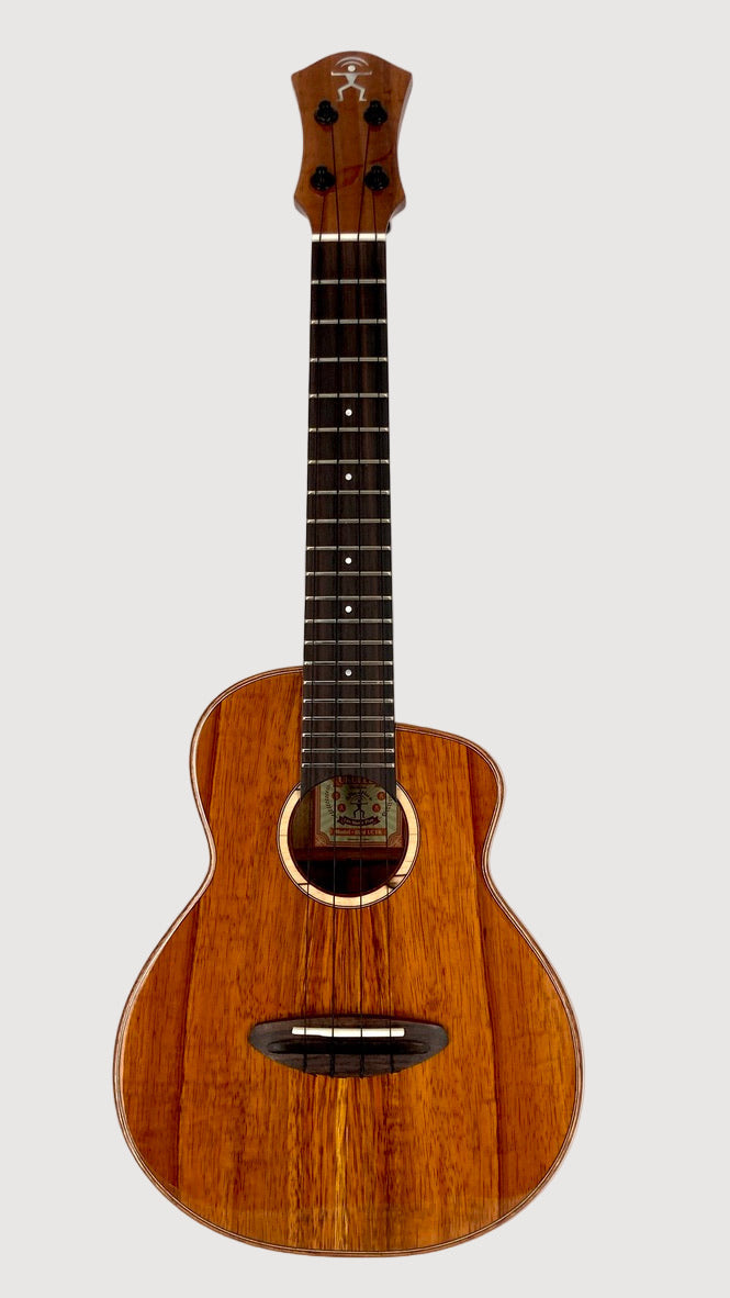 aNueNue UC1K Bird Concert