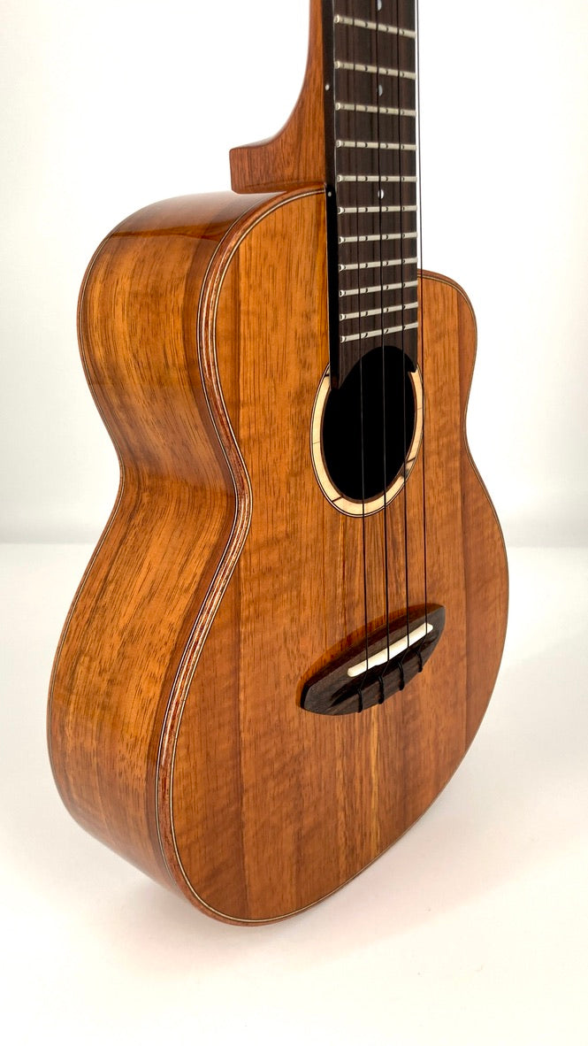 aNueNue UC1K Bird Concert