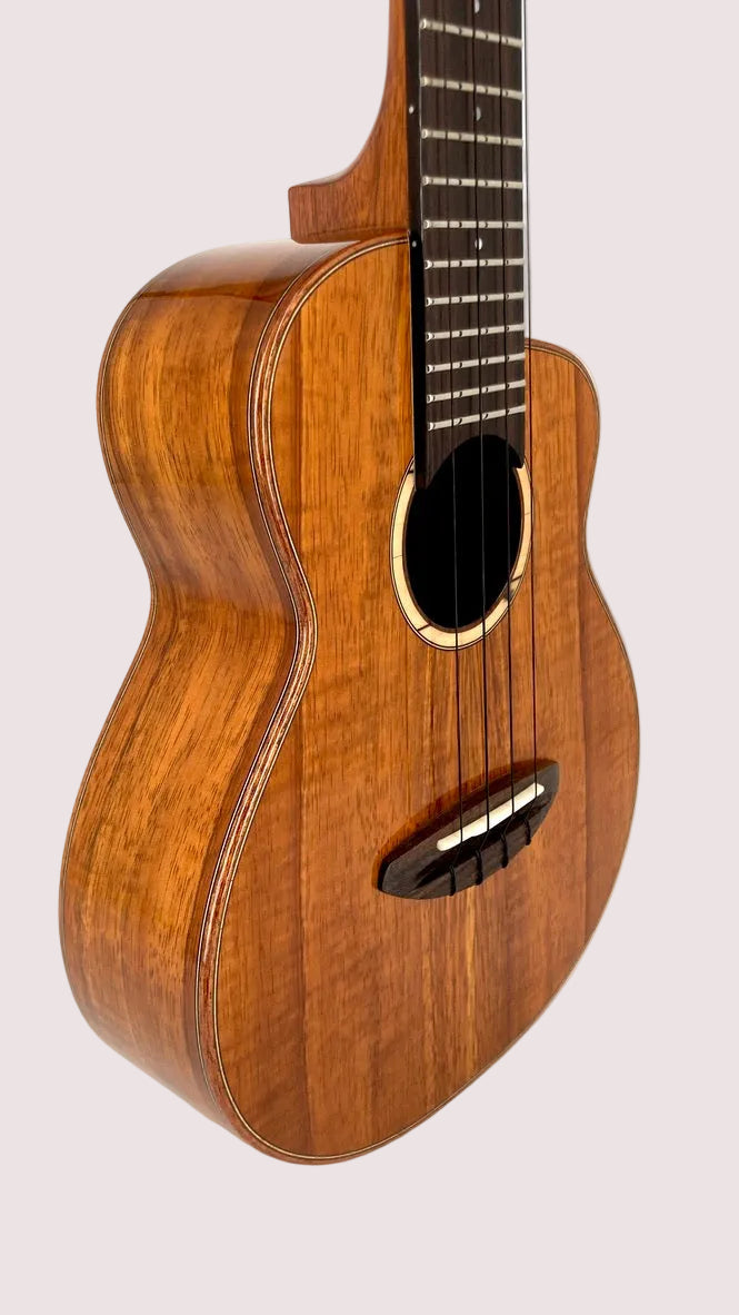 aNueNue UC1K Bird Concert