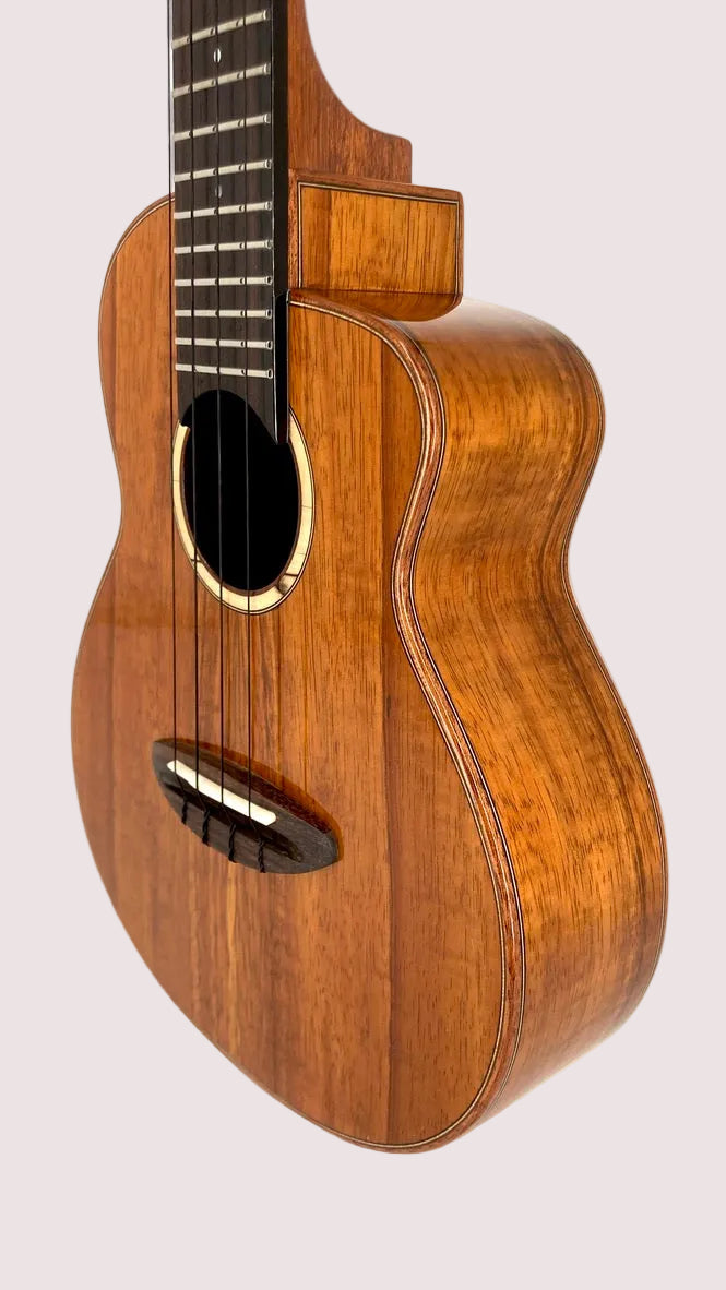 aNueNue UC1K Bird Concert