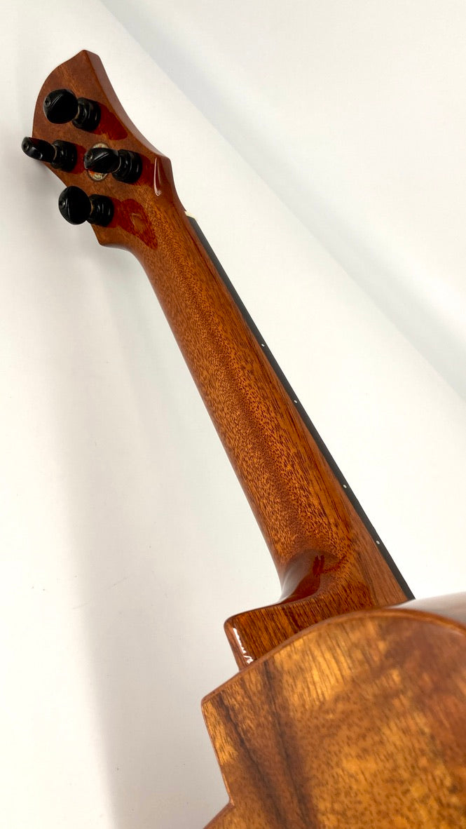 aNueNue UC1K Bird Concert