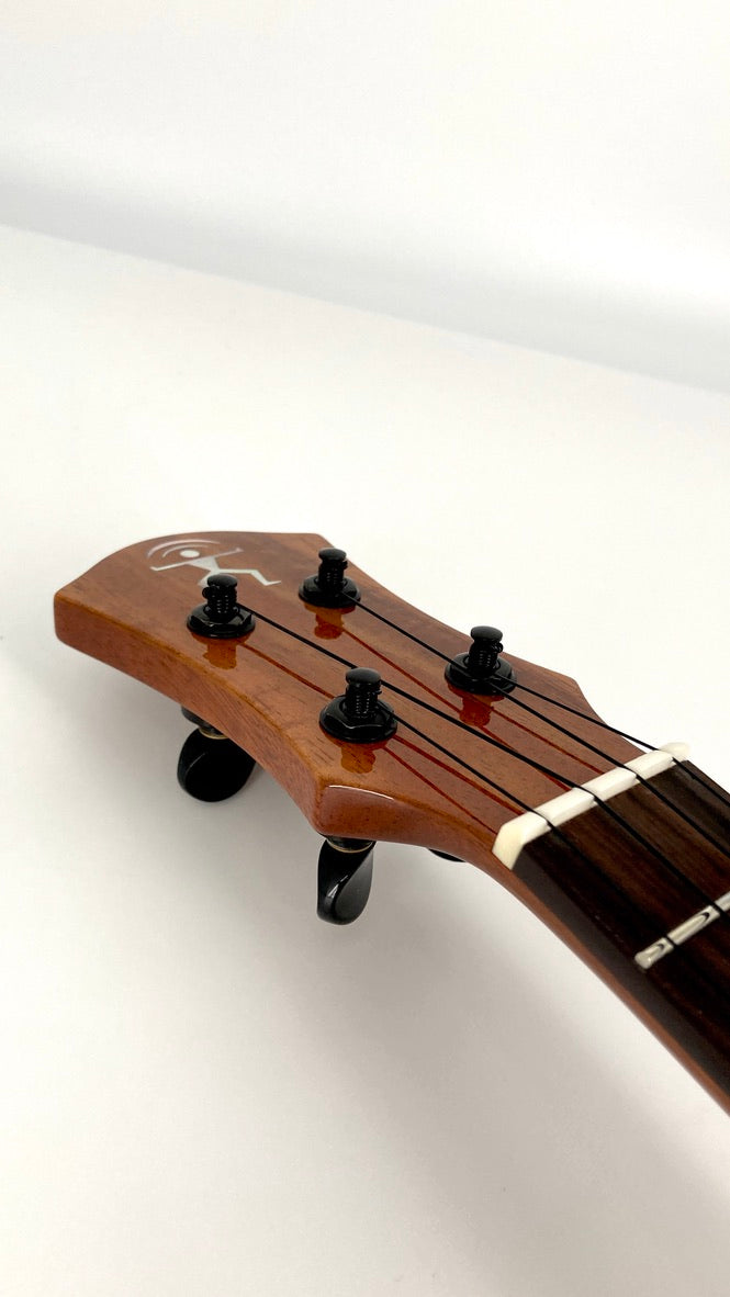 aNueNue UC1K Bird Concert