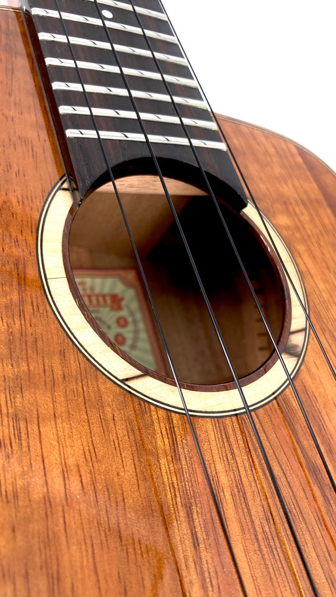 aNueNue UC1K Bird Concert