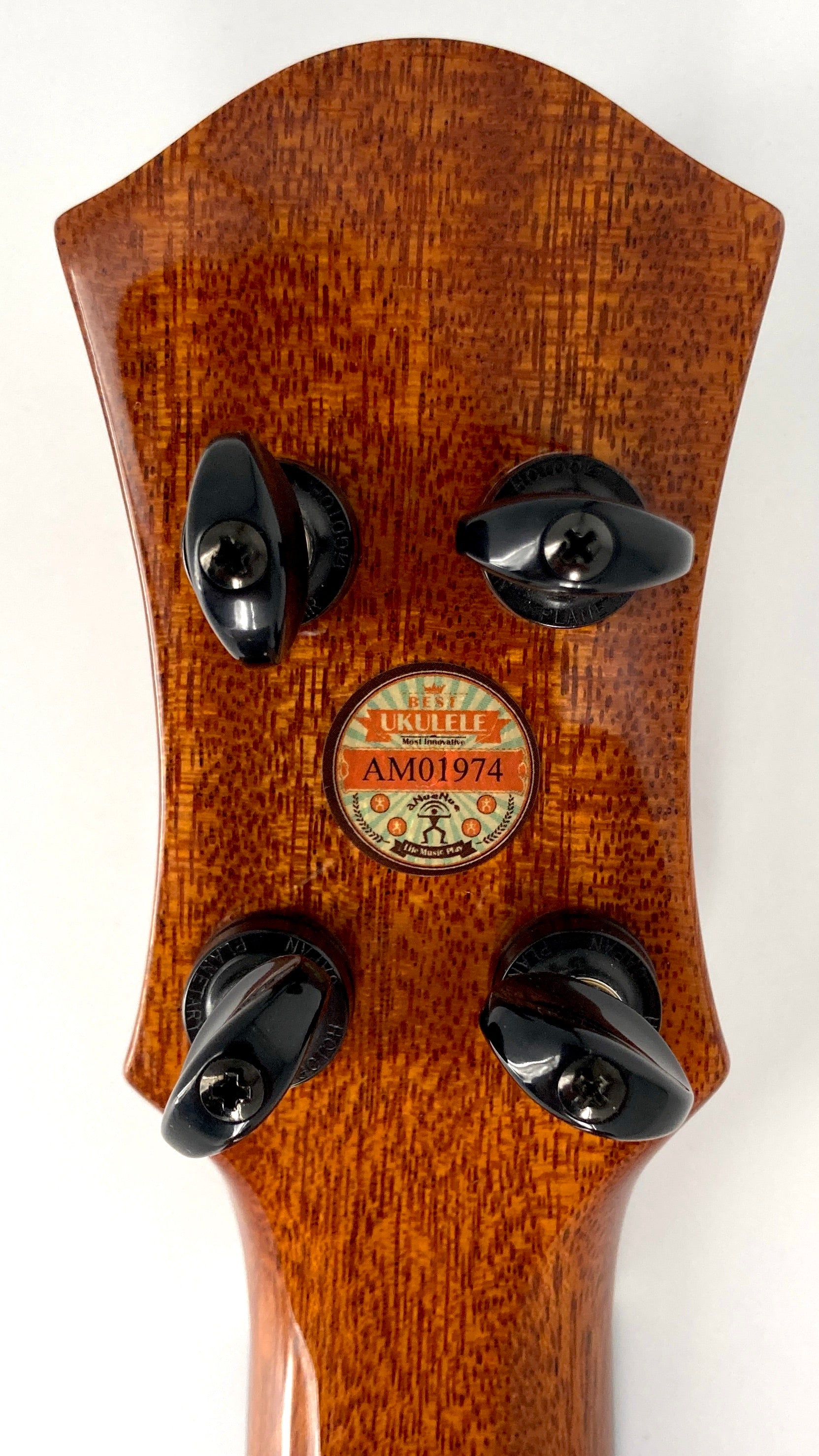 aNueNue UC1K Bird Concert