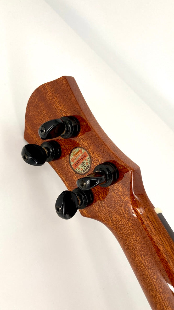 aNueNue UC1K Bird Concert