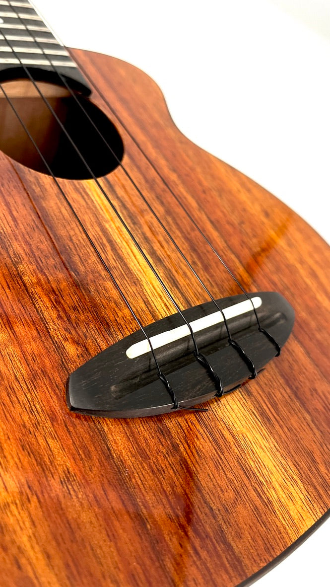 aNueNue US1K Koa Bird Sopran