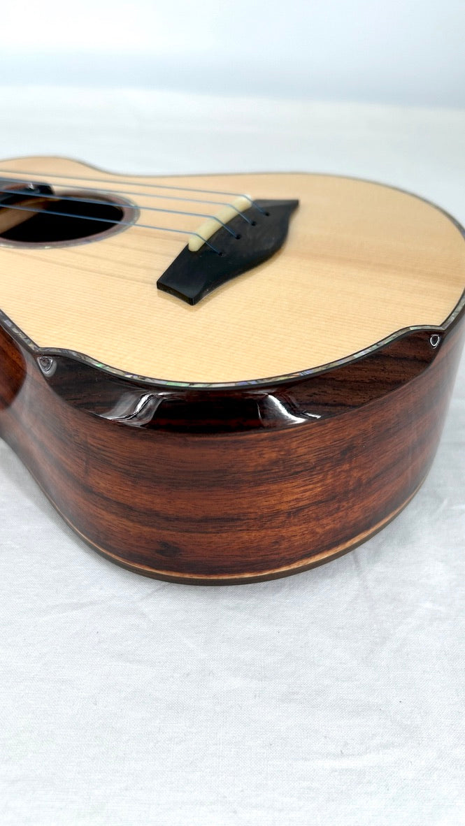 MAESTRO UC-SR SB Concert