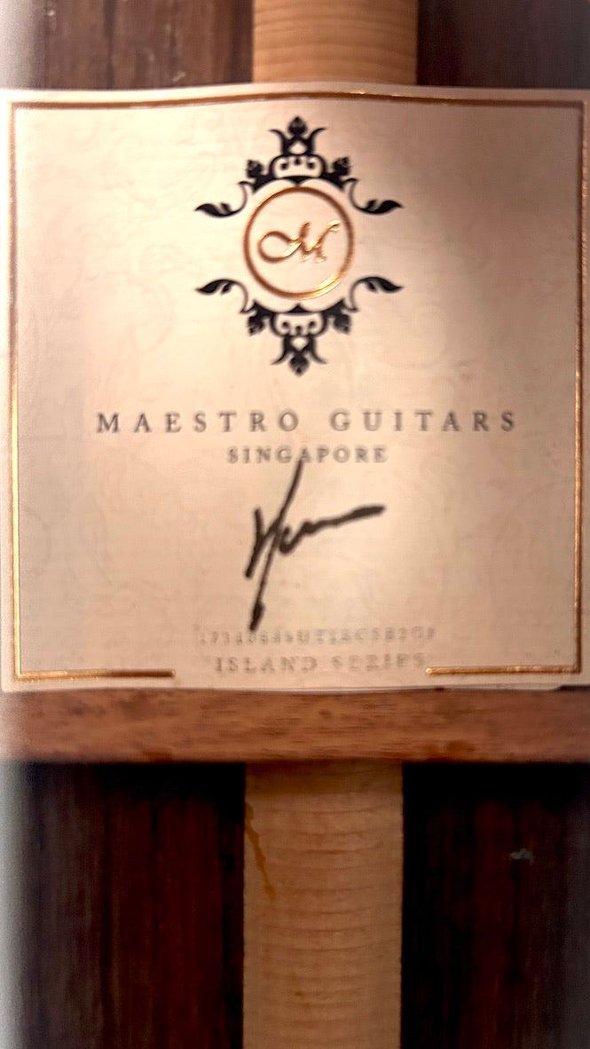 MAESTRO UT-IR Tenor 8-string cutaway