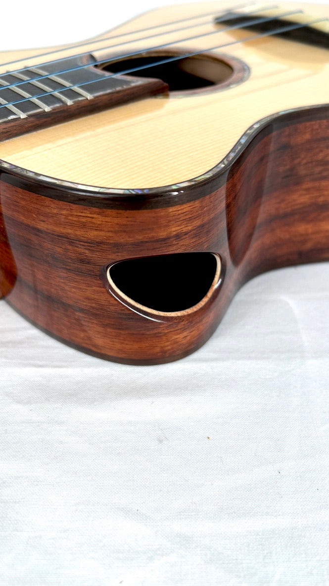 MAESTRO UC-SR SB Concert