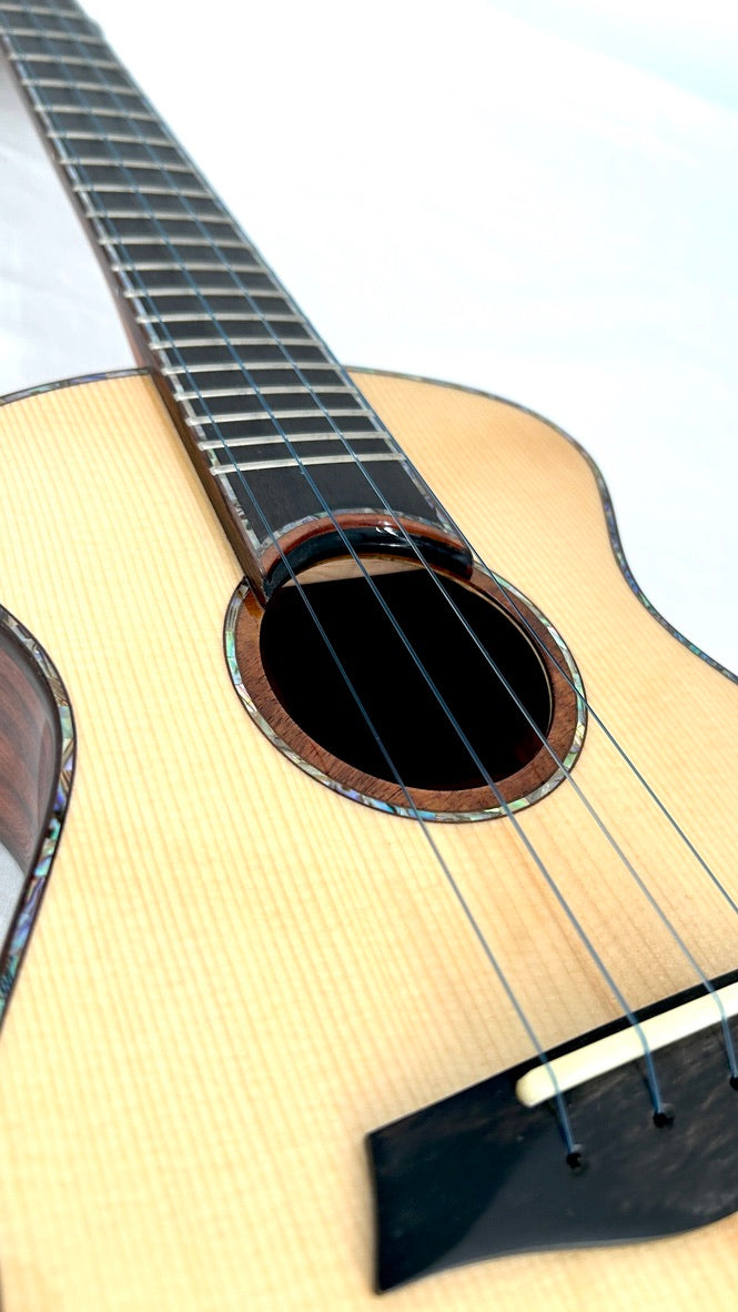 MAESTRO UC-SR SB Concert