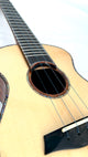 MAESTRO UC-SR SB Concert