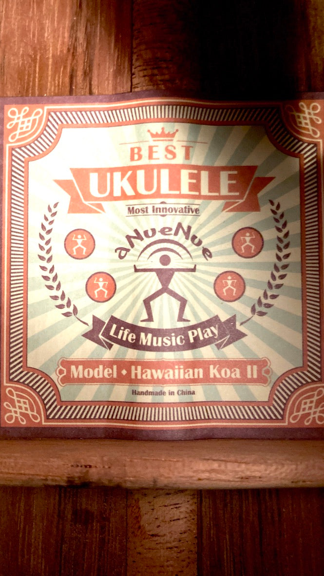 aNueNue AKK2E Concert mit Pickup