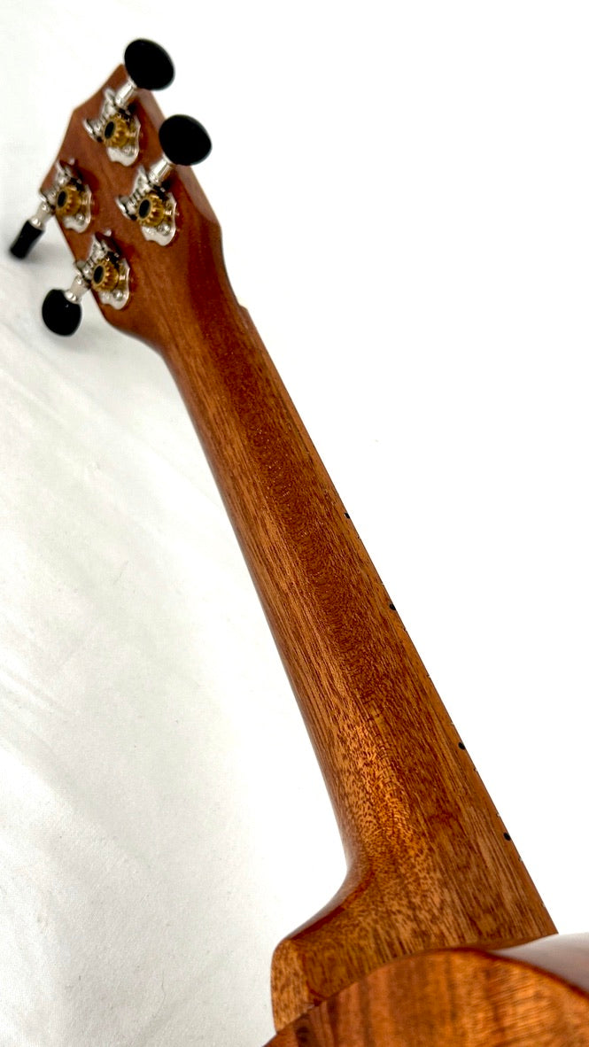 Ana'ole AC Concert Curly Koa