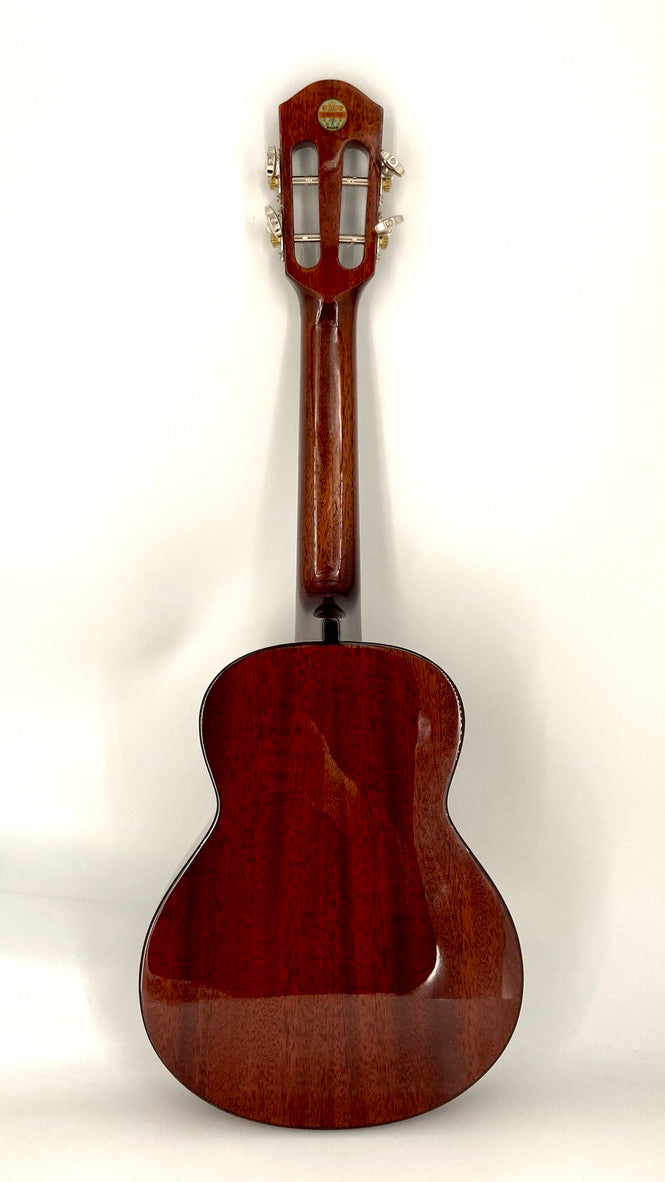 aNueNue AMM2 Concert