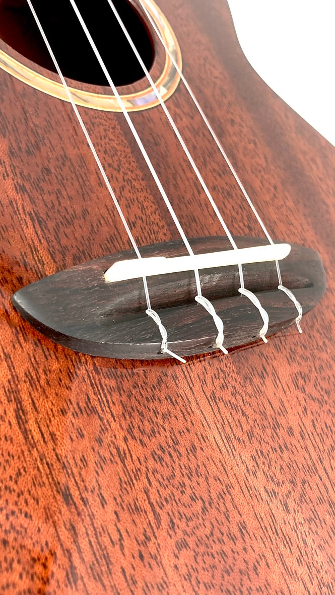 aNueNue AMM2 Concert