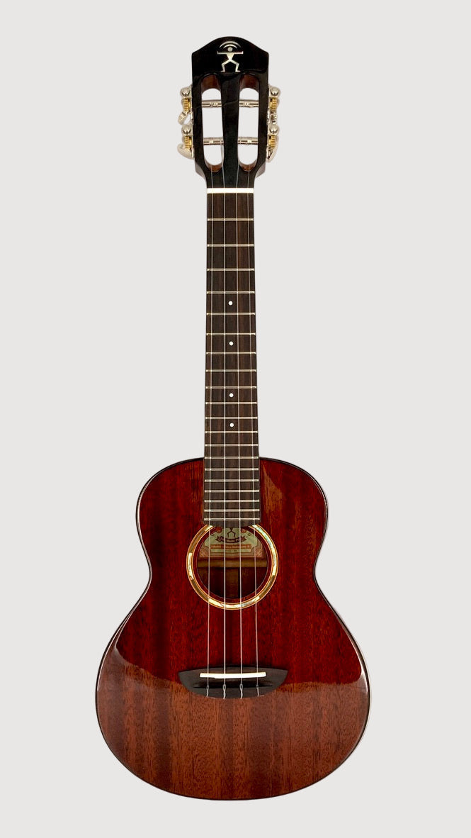 aNueNue AMM2 Concert