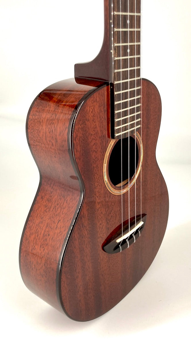 aNueNue AMM2 Concert