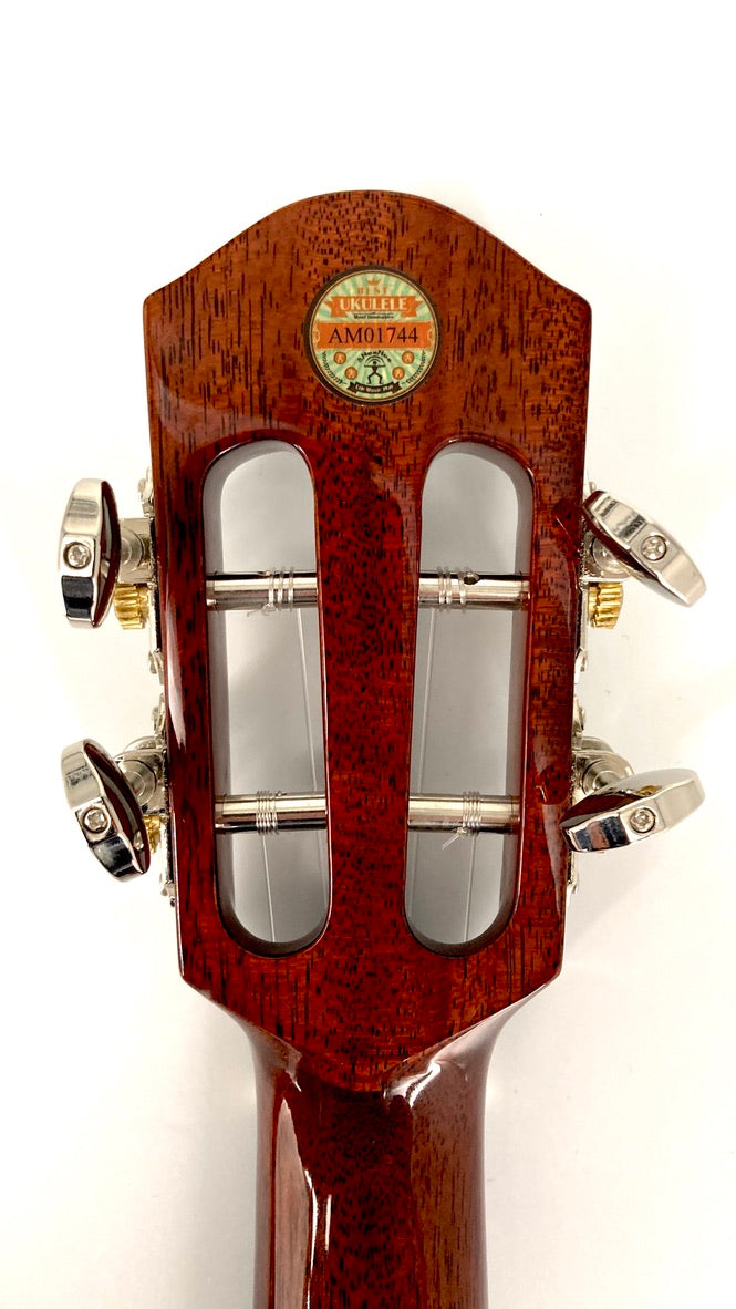 aNueNue AMM2 Concert