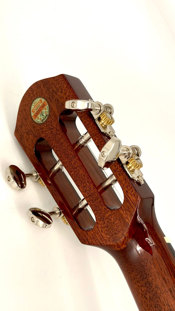 aNueNue AMM2 Concert