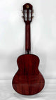 aNueNue AMM2 Concert