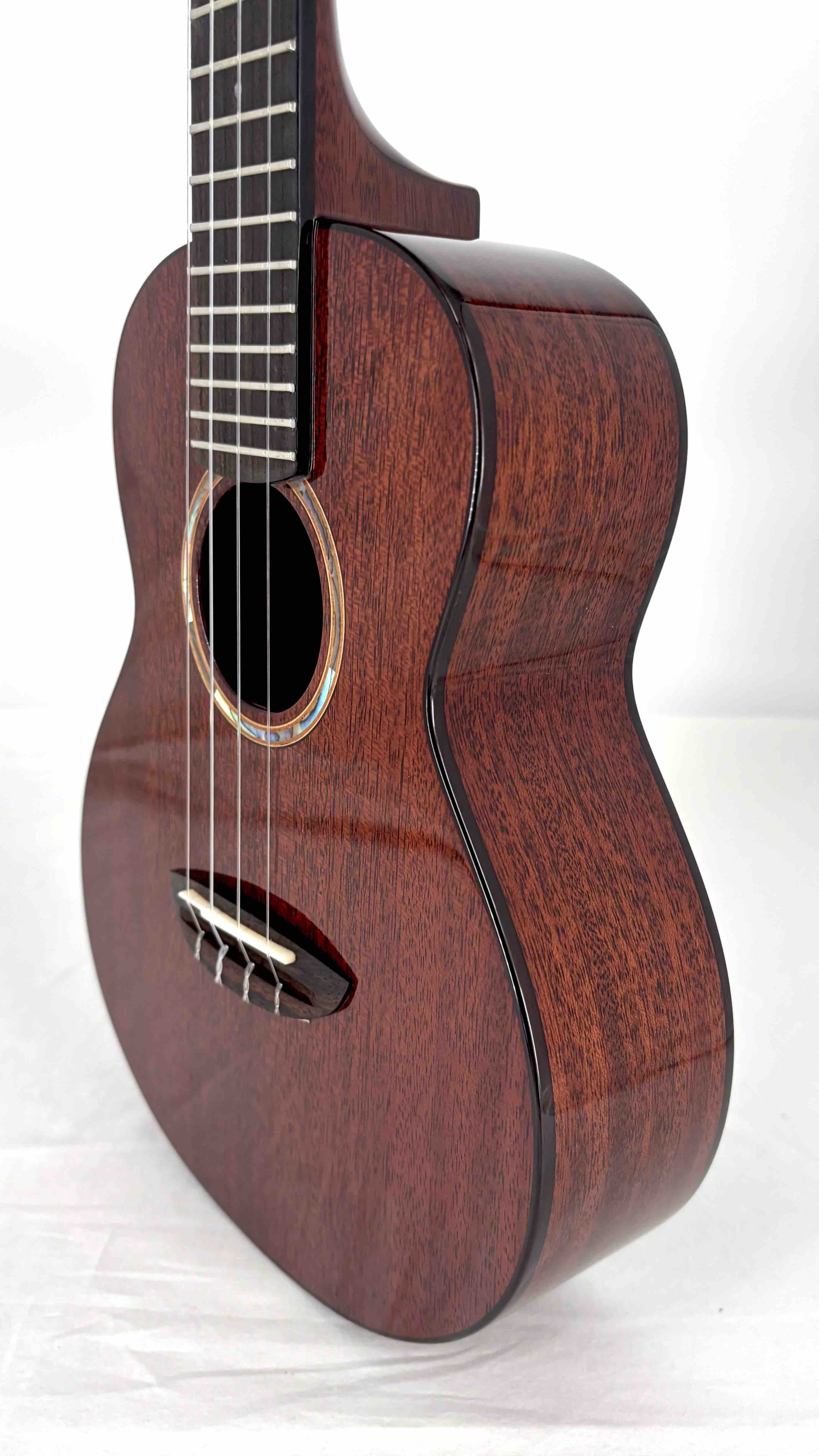 aNueNue AMM2 Concert