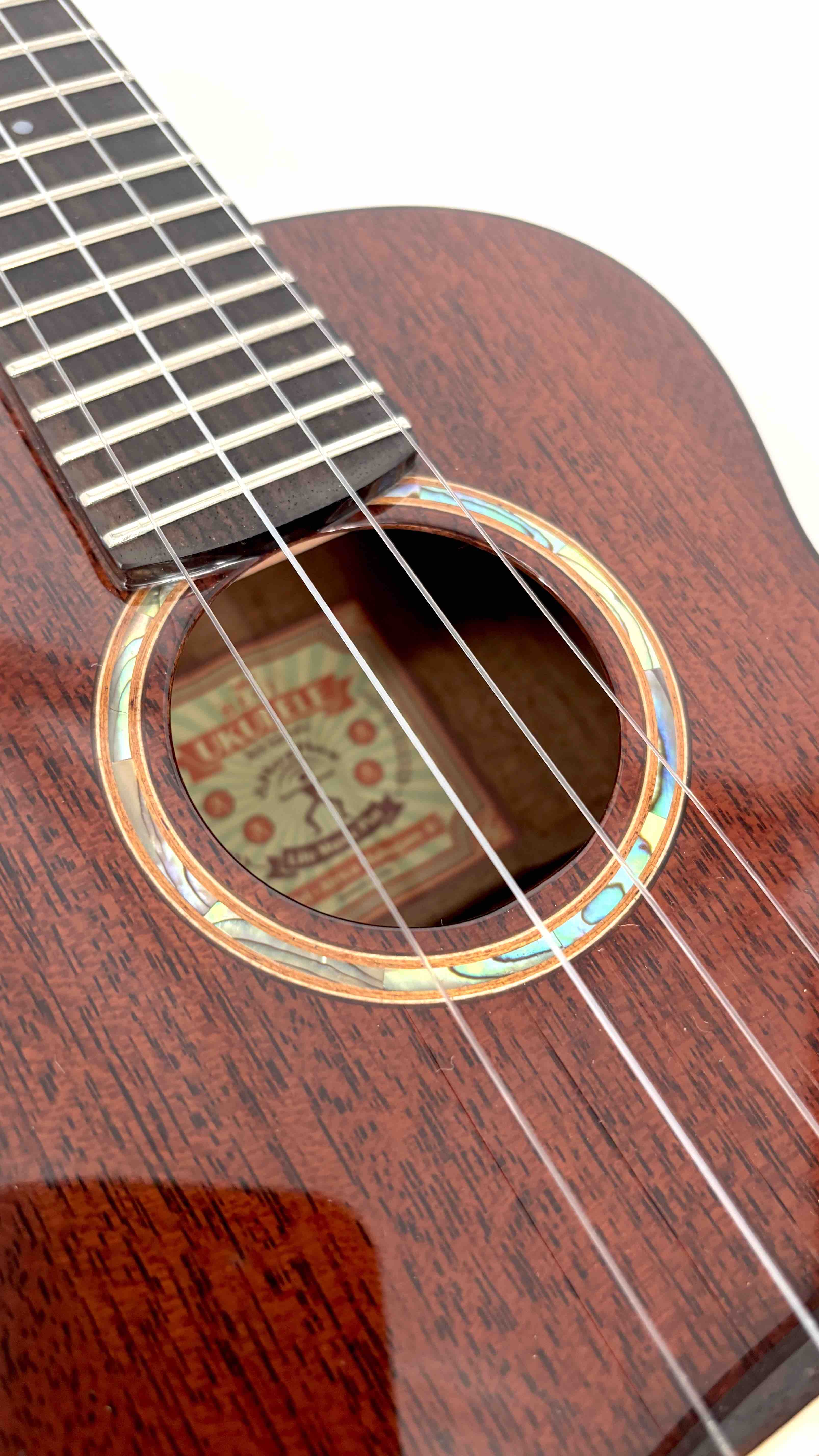 aNueNue AMM2 Concert