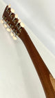 Asonu Tenor Tahitian 10-string mit Pickup