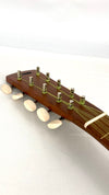 Asonu Tenor Tahitian 10-string mit Pickup