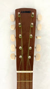 Asonu Tenor Tahitian 10-string mit Pickup