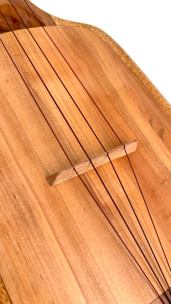 Asonu Tenor 4-string mit Pickup