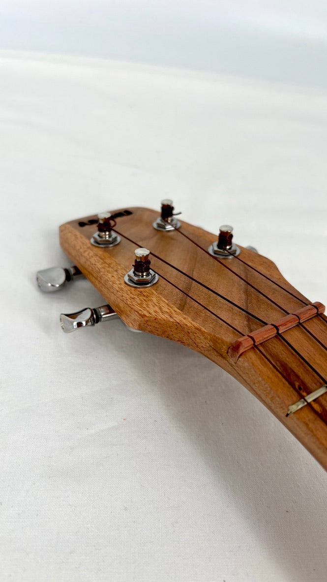 Asonu Tenor 4-string mit Pickup